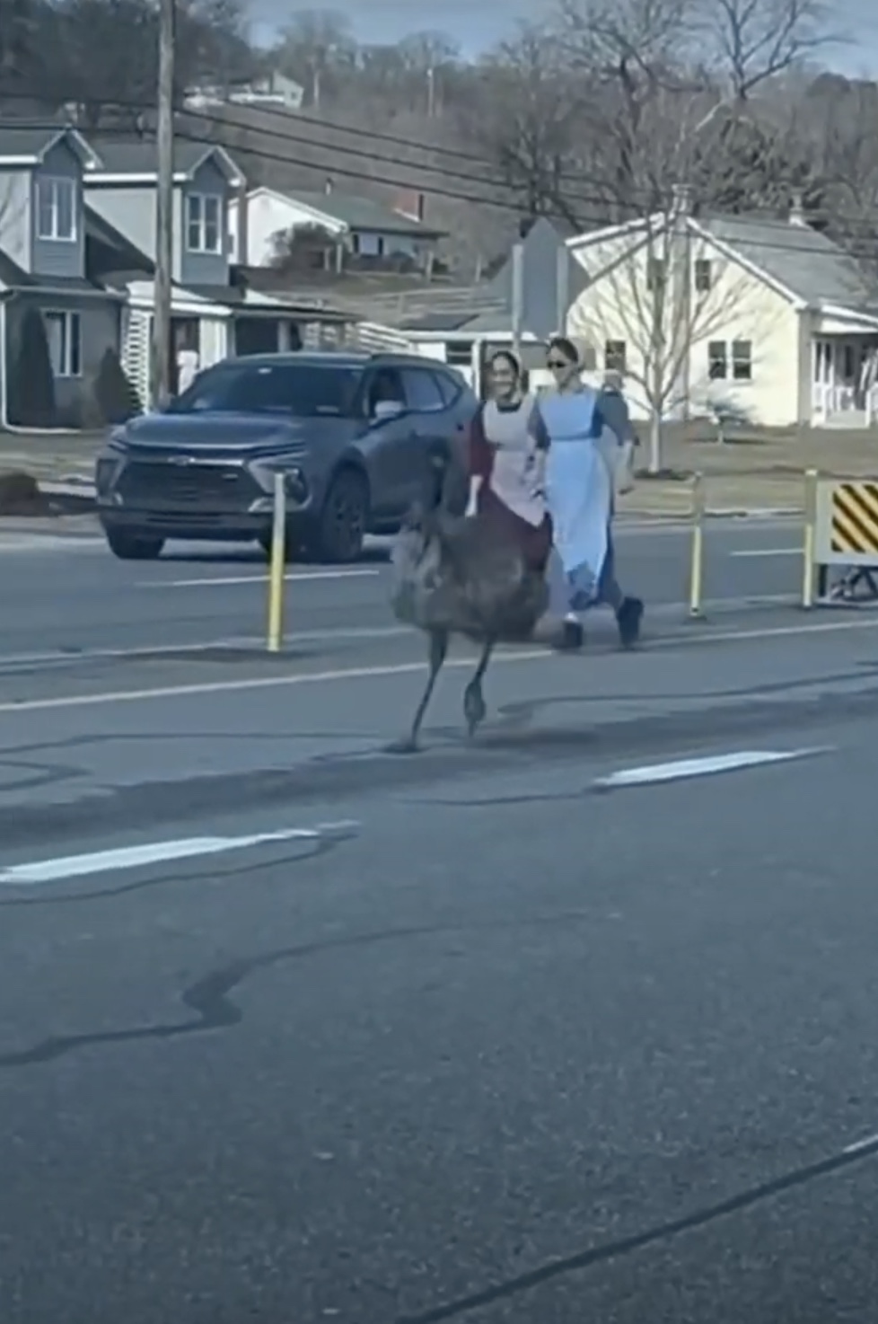 21 Out-Of-Place Amish People