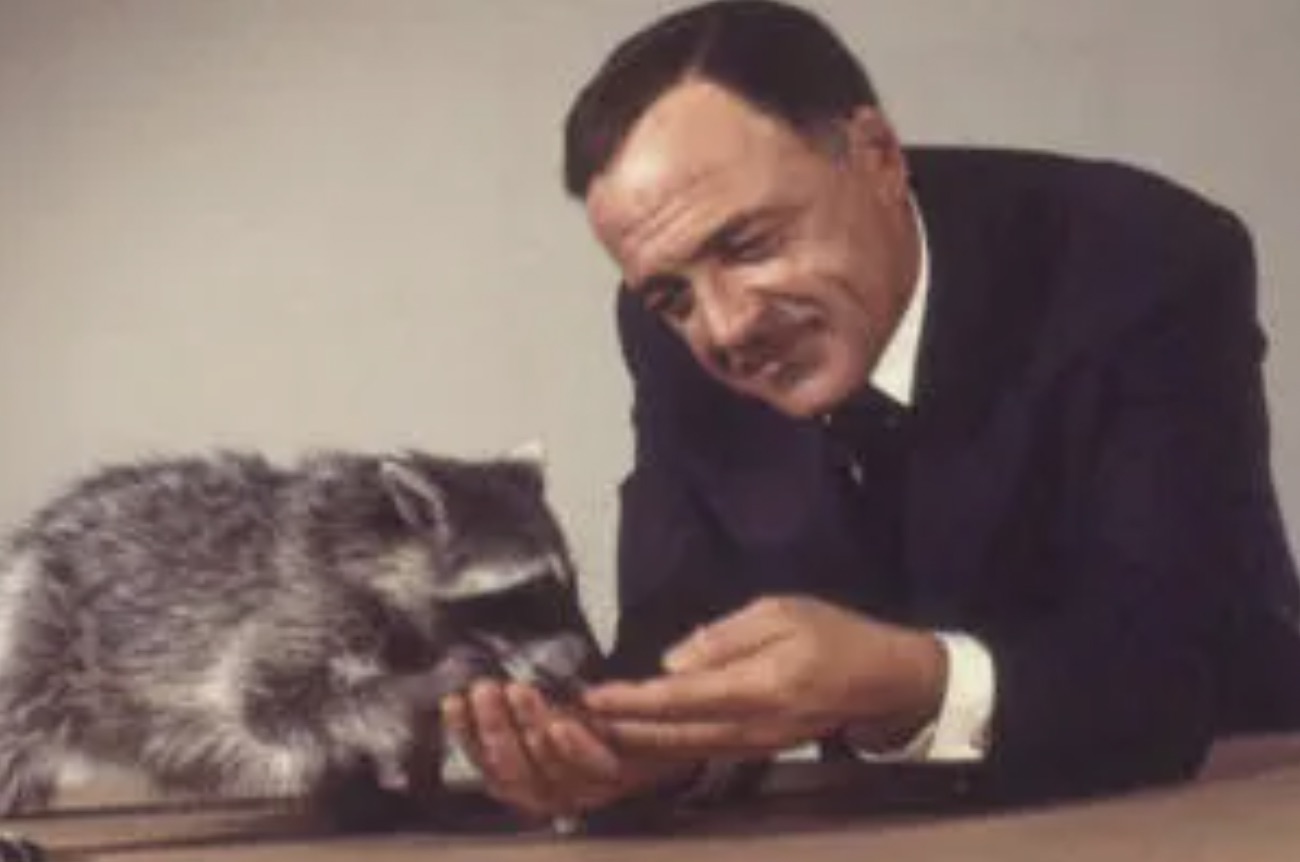 Presidential Raccoon