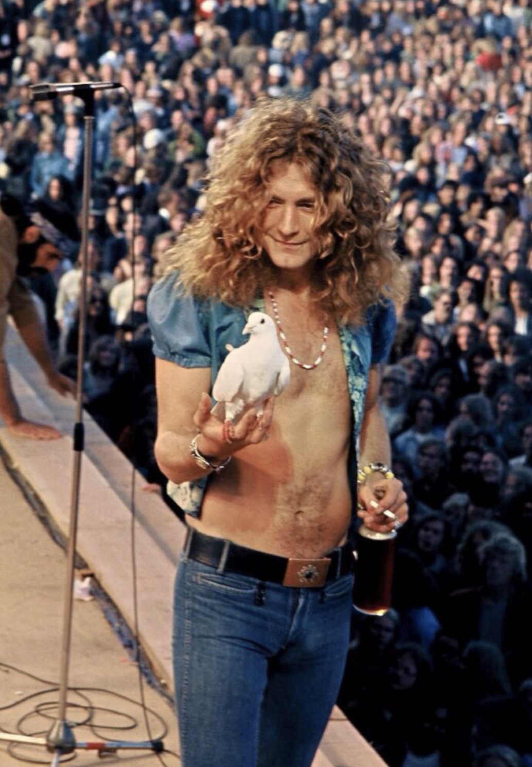 25 1970s Photos of Led Zeppelin in Their Prime