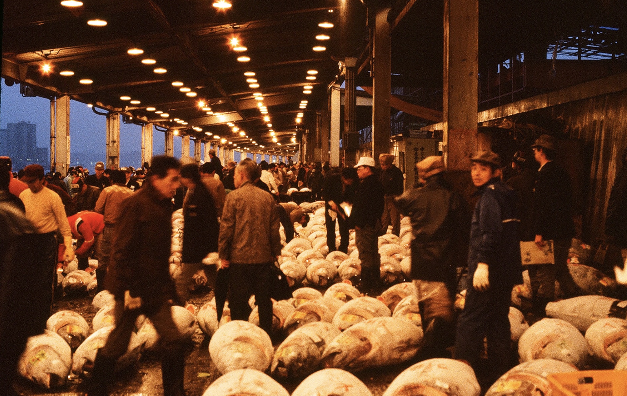24 Photos of What Life Was Like in 1980s Japan