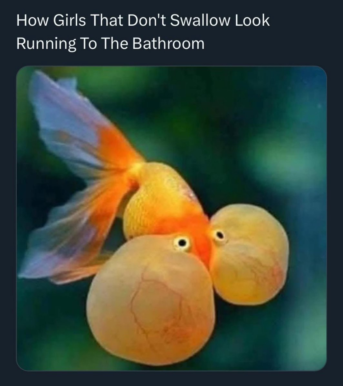 20 NSFW Memes You Shouldn't Be Laughing at While That Tab Is Still Open