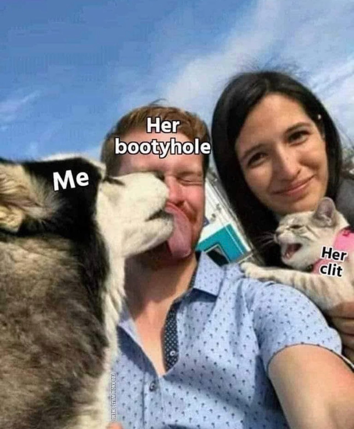 20 Horny Memes That Are Proof the Internet Is Unwell