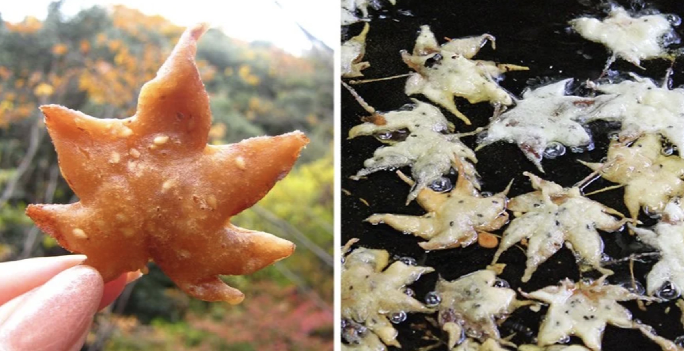 Deep-fried maple leaves