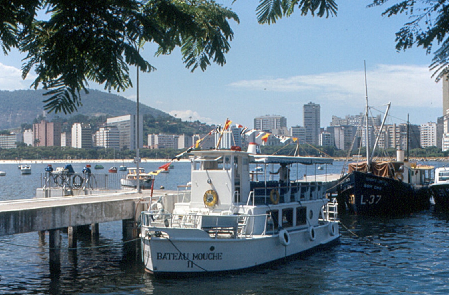 Excursion Boat 