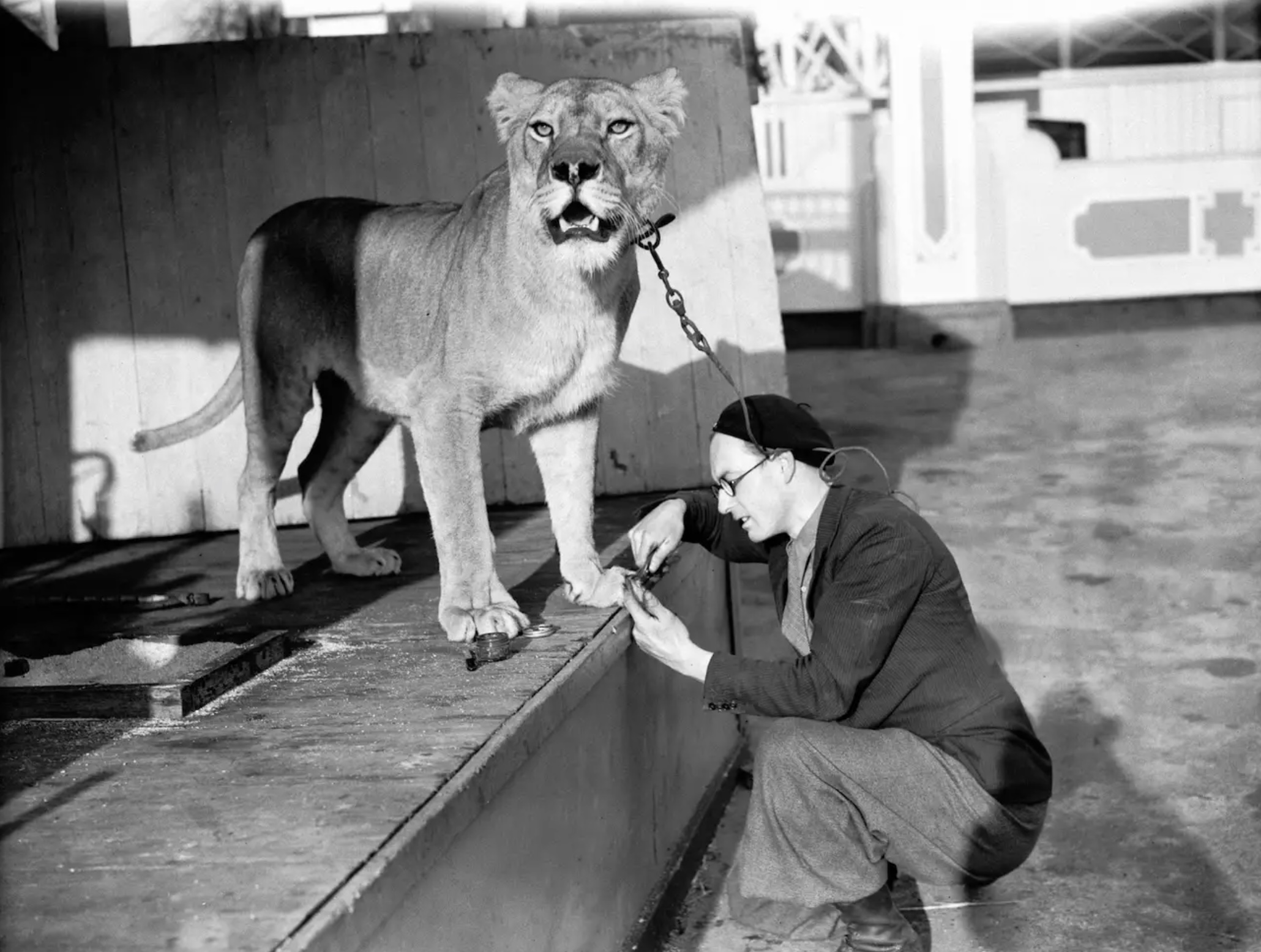 24 Vintage Photos of Early Amusement Parks