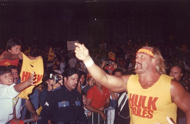 Hulk Hogan 