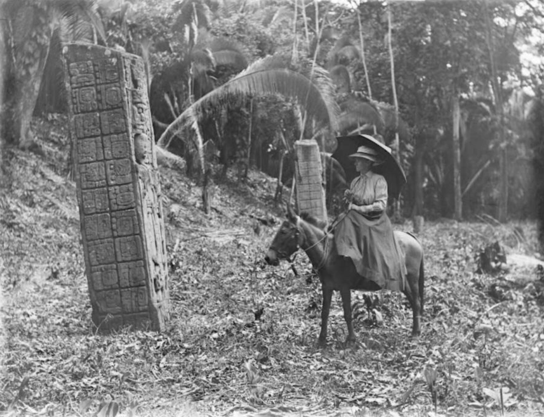 25 Wild Pics of 1800s Expeditions Into South America