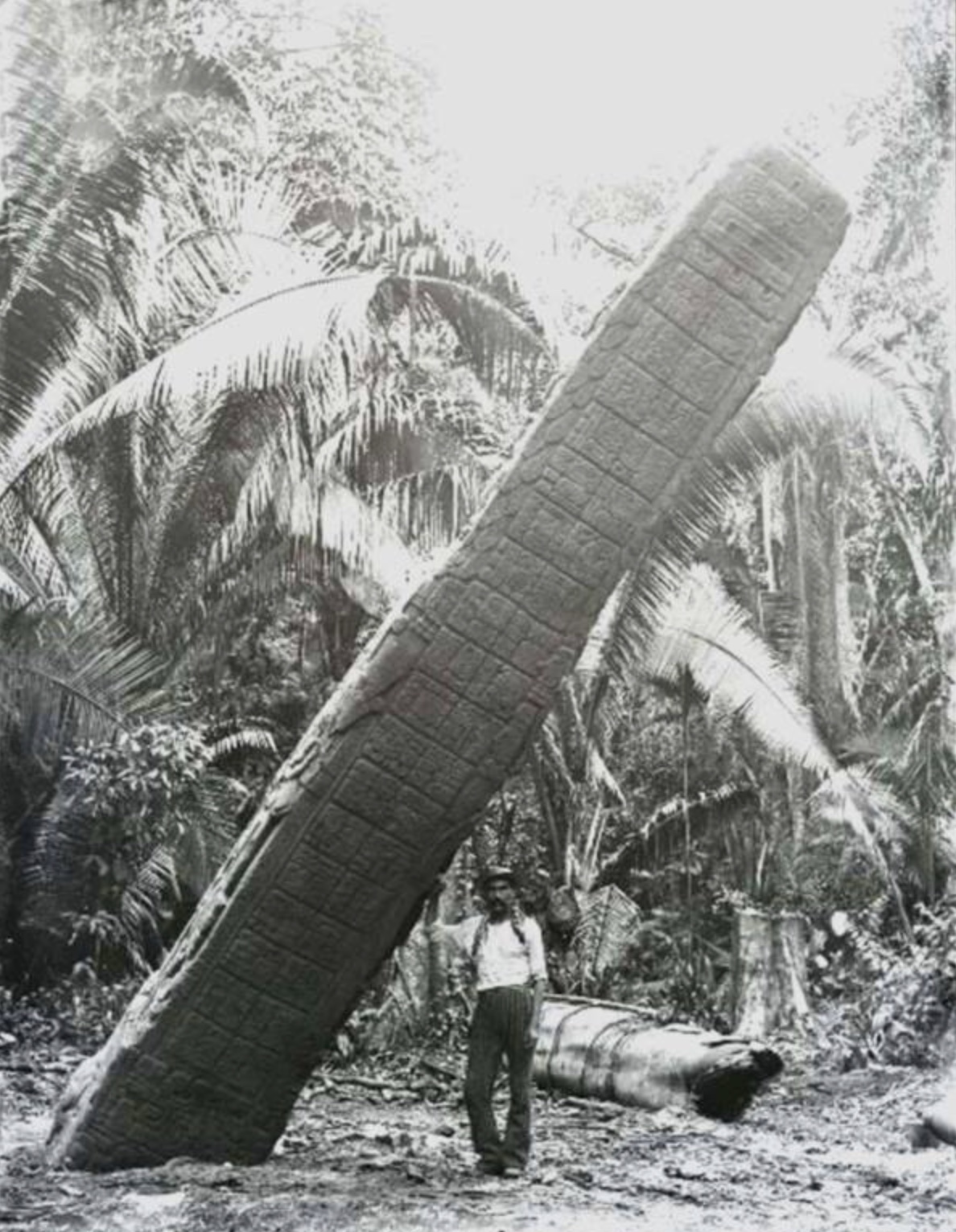 25 Wild Pics of 1800s Expeditions Into South America