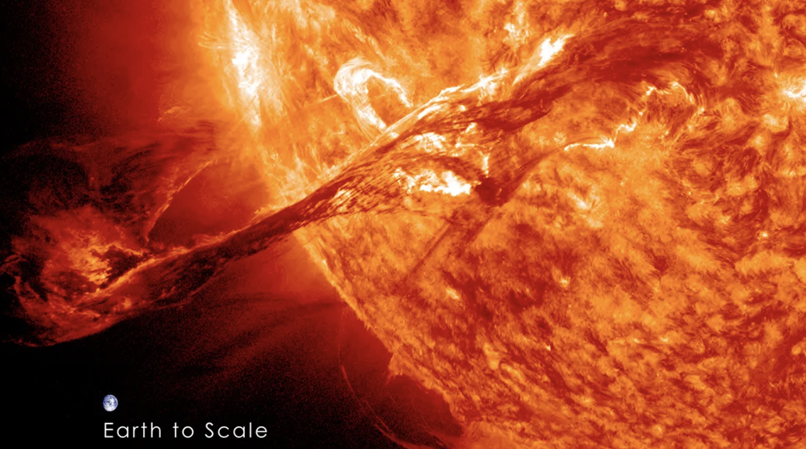 Strange Science: 17 Facts You Can't Unlearn 