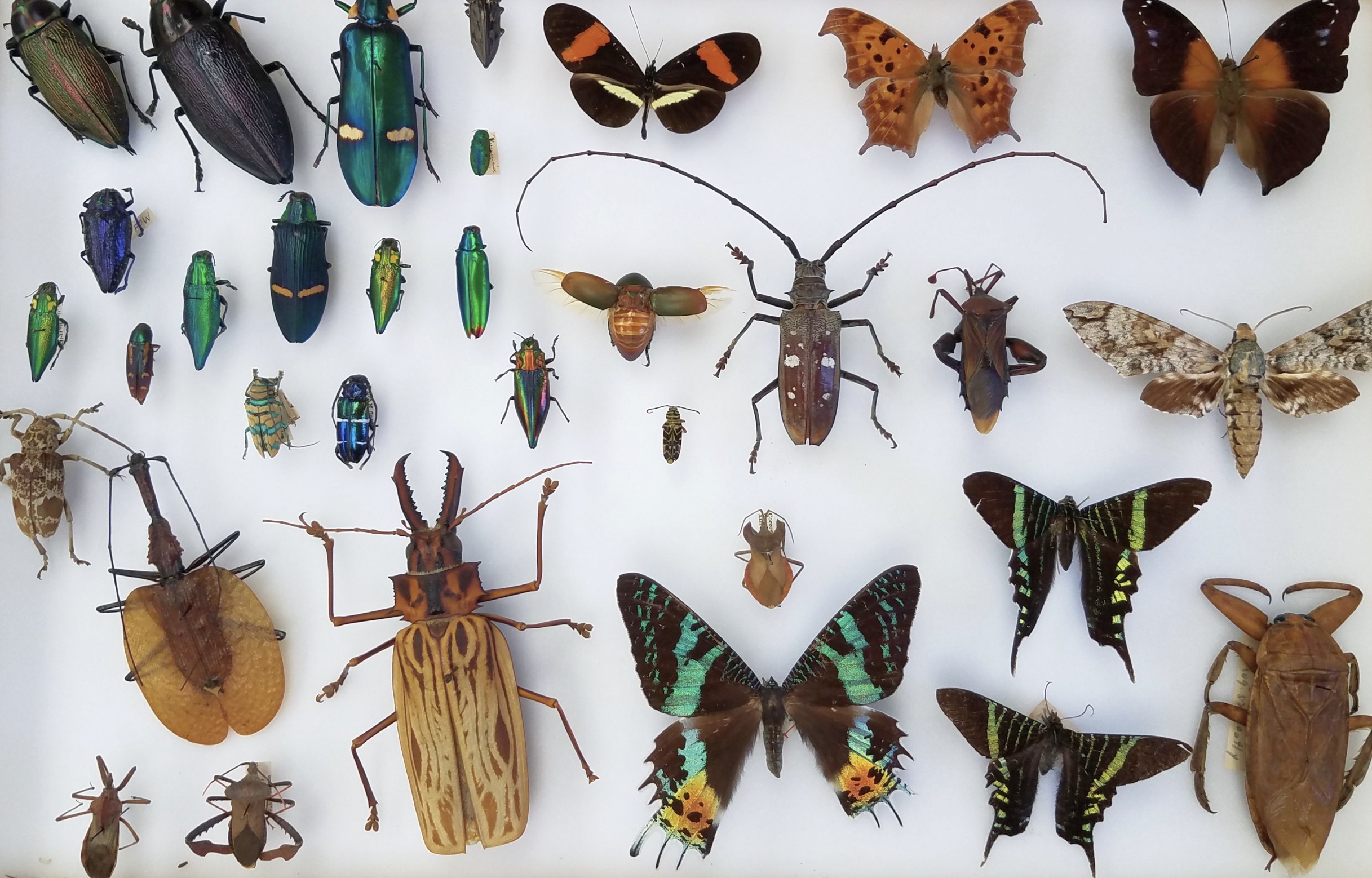 Strange Science: 17 Facts You Can't Unlearn 