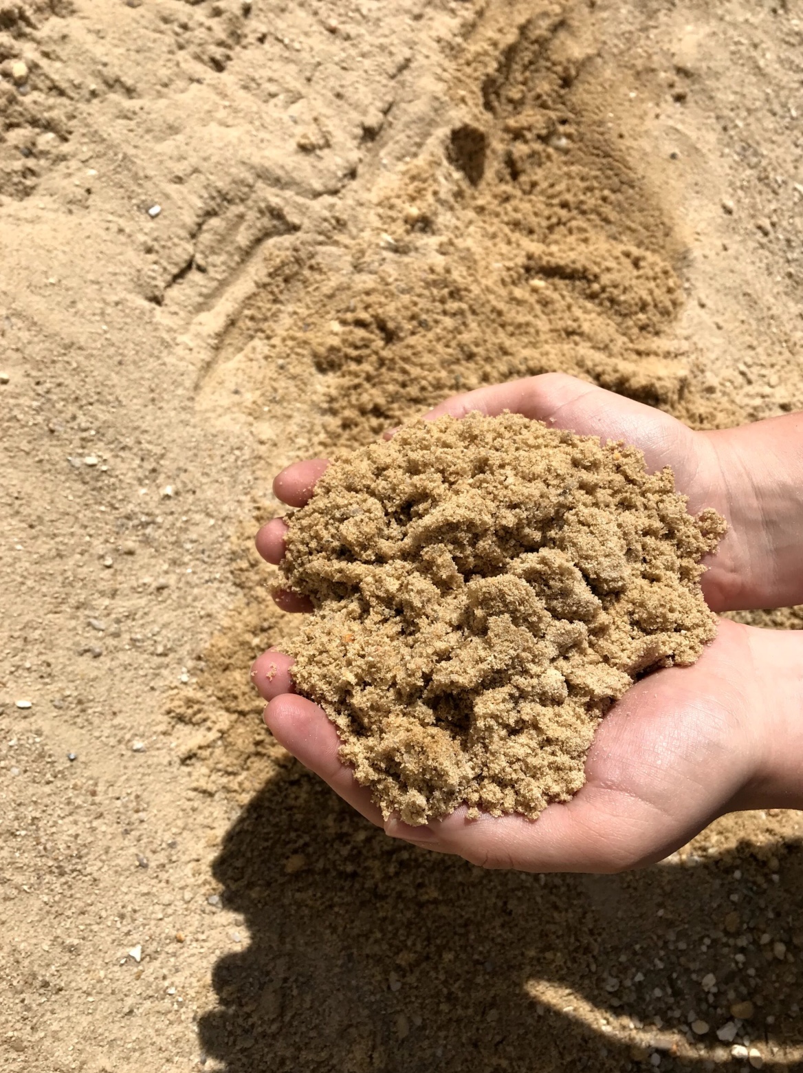 Strange Science: 17 Facts You Can't Unlearn 