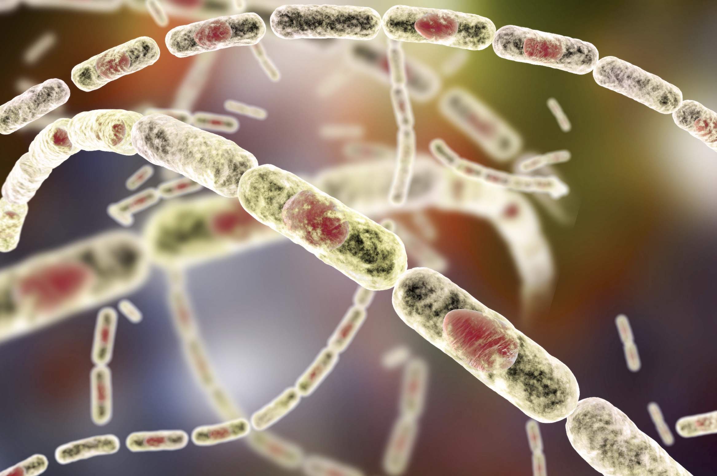 Strange Science: 17 Facts You Can't Unlearn 