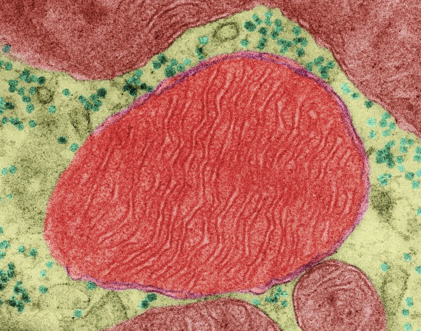 Strange Science: 17 Facts You Can't Unlearn 