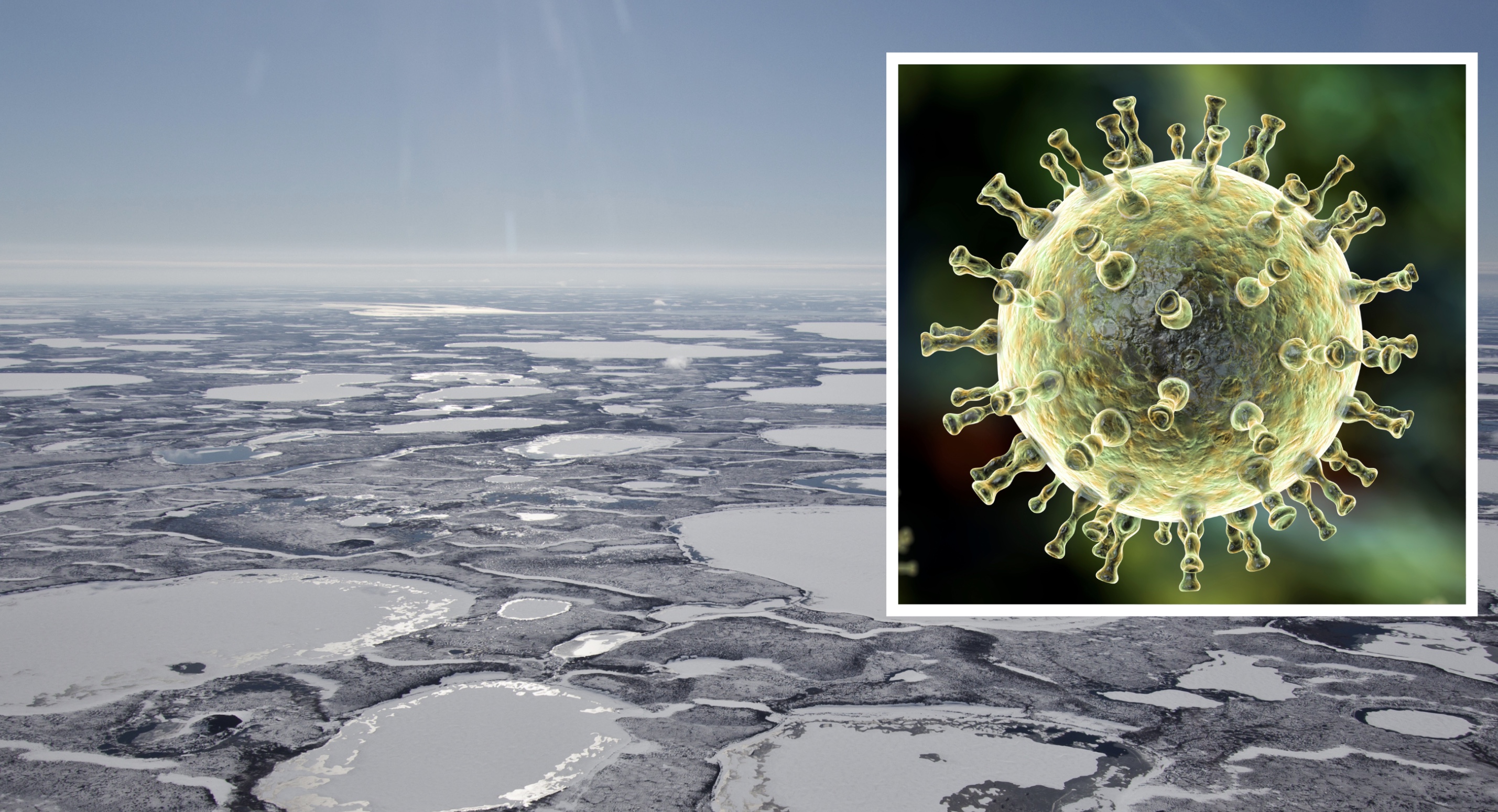 Strange Science: 17 Facts You Can't Unlearn 