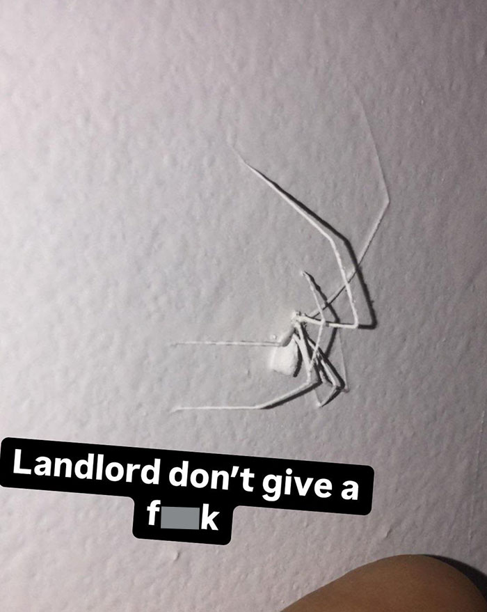 23 Infuriating Examples of 'The Landlord Special'