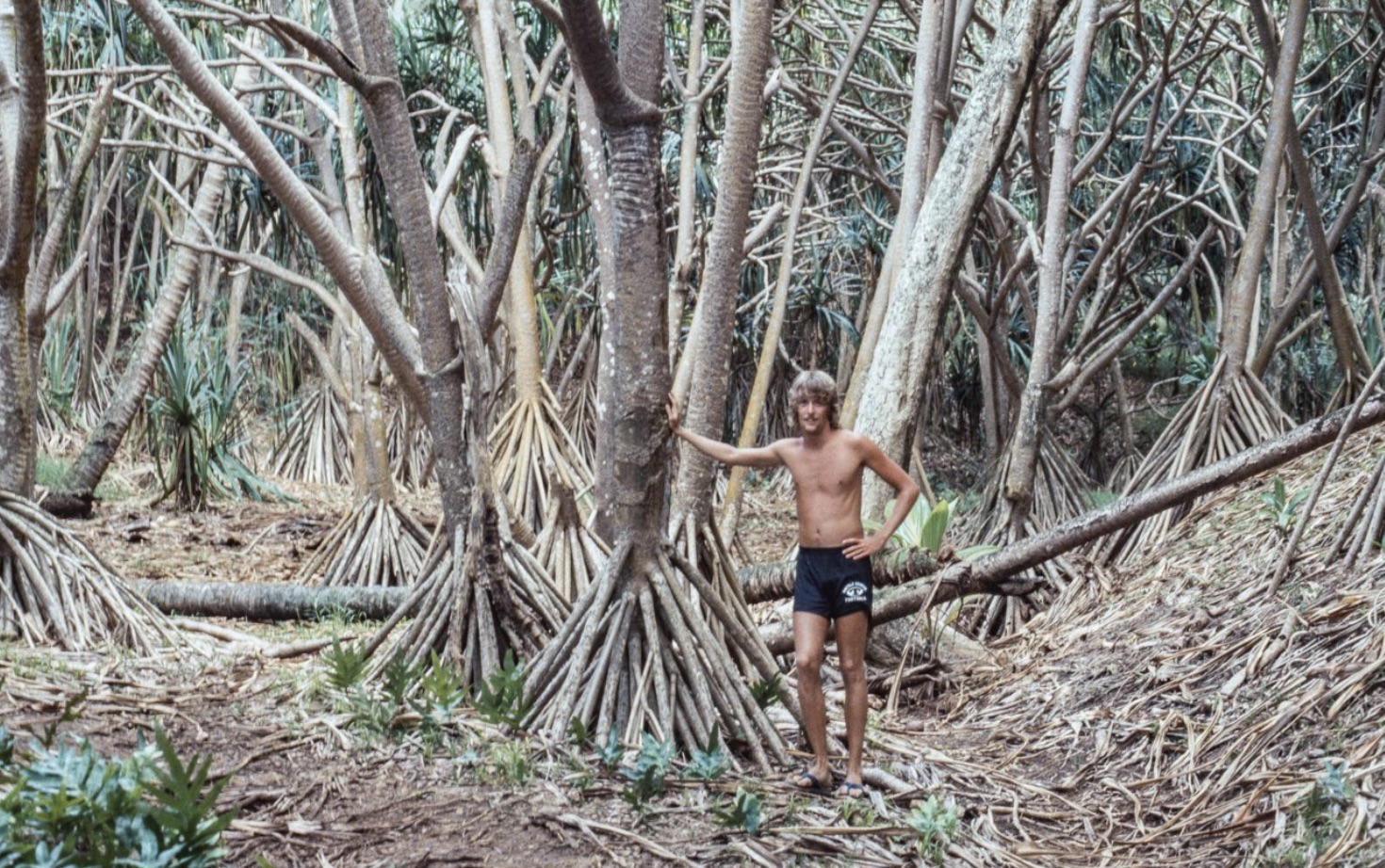 “Lost in the Jungle” 