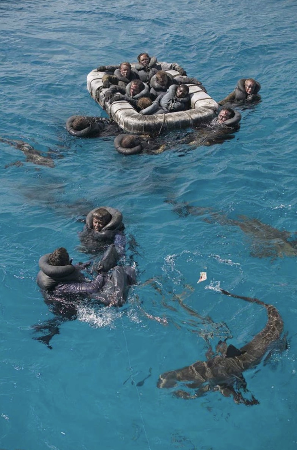 21 Shark Photos That'll Keep You Out Of The Ocean