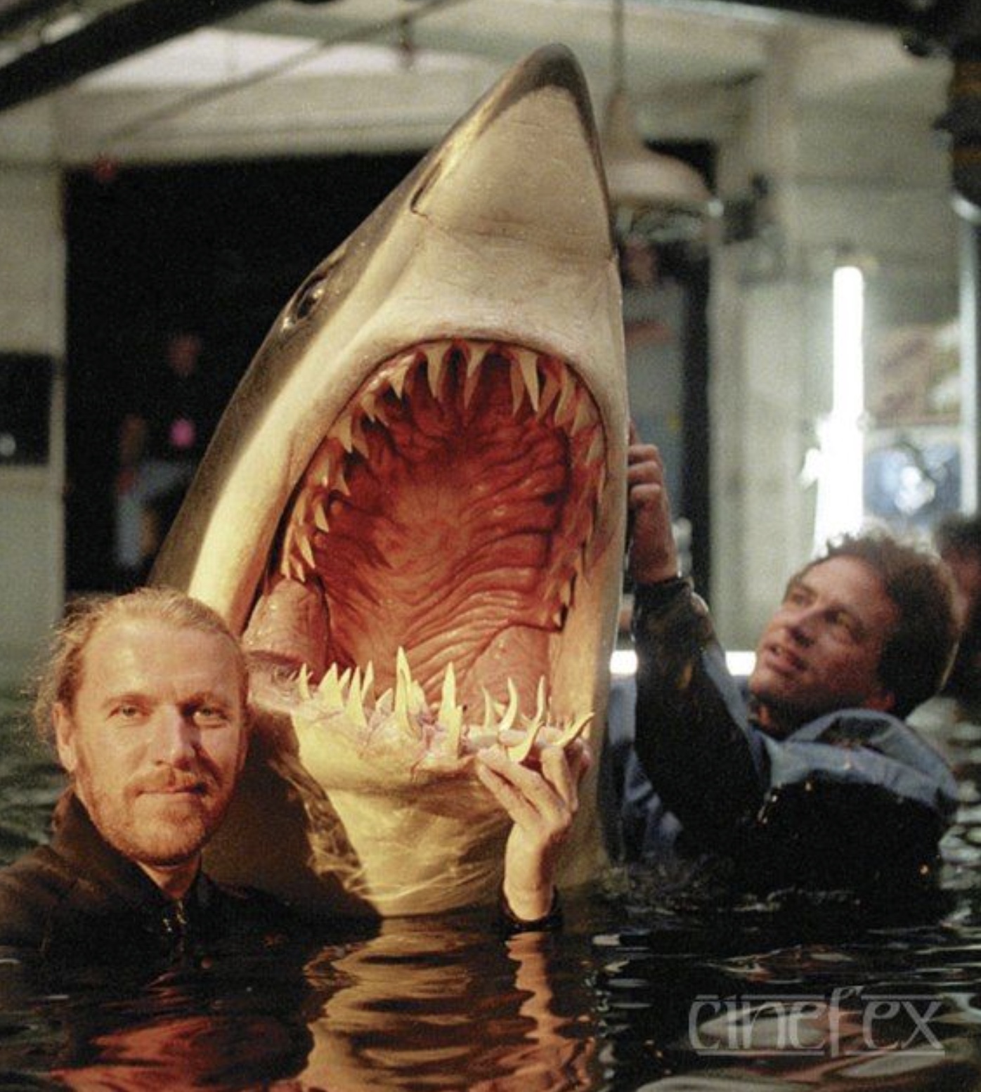 21 Shark Photos That'll Keep You Out Of The Ocean