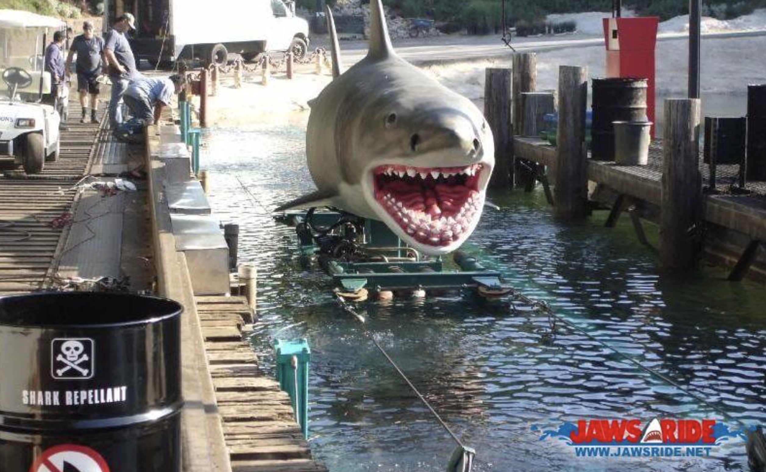 21 Shark Photos That'll Keep You Out Of The Ocean