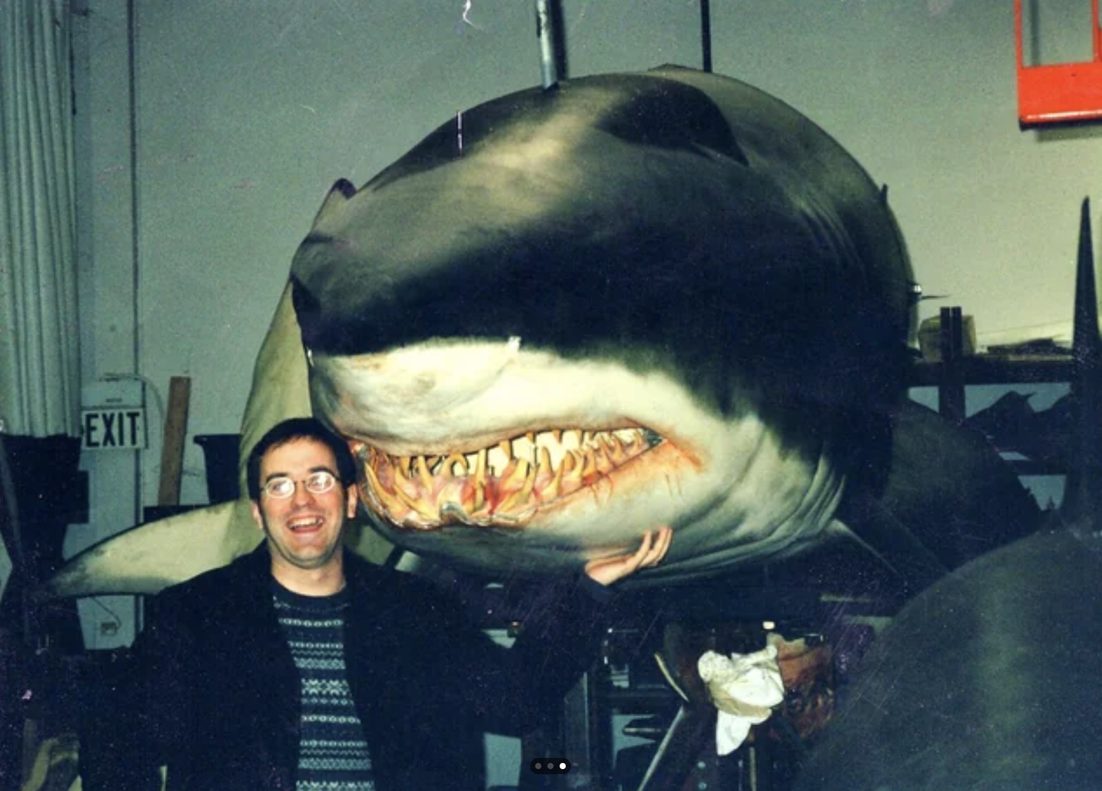 21 Shark Photos That'll Keep You Out Of The Ocean