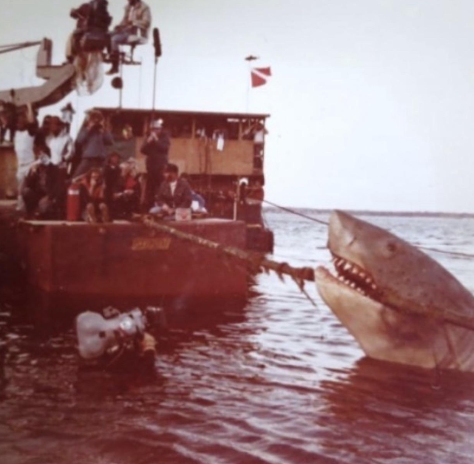 21 Shark Photos That'll Keep You Out Of The Ocean