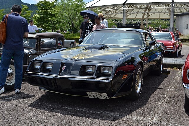 1981 Pontiac Firebird Trans Am 