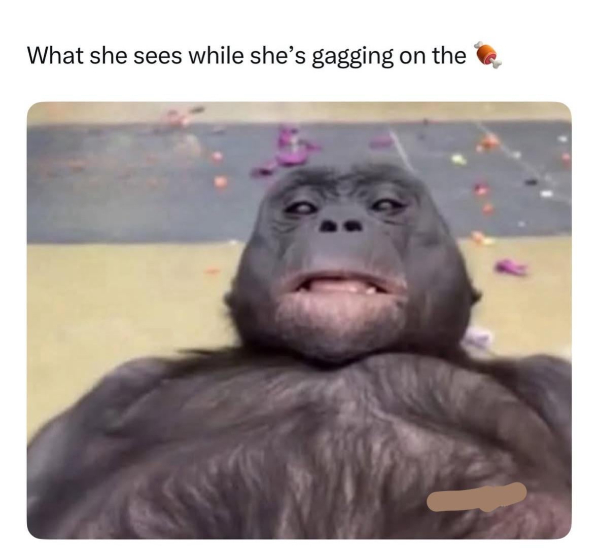 20 NSFW Memes That Are So Lewd They Will Send You into a Spiral