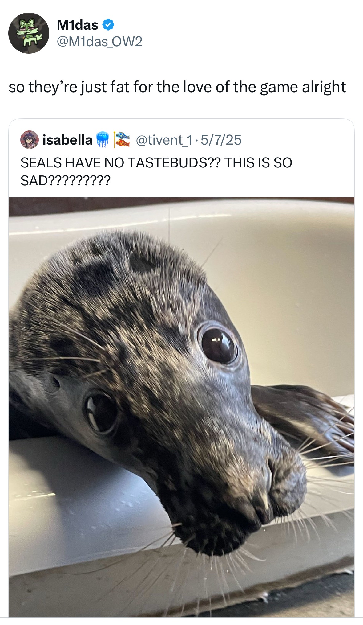 37 Funny and Fresh Tweets to Take to Church 