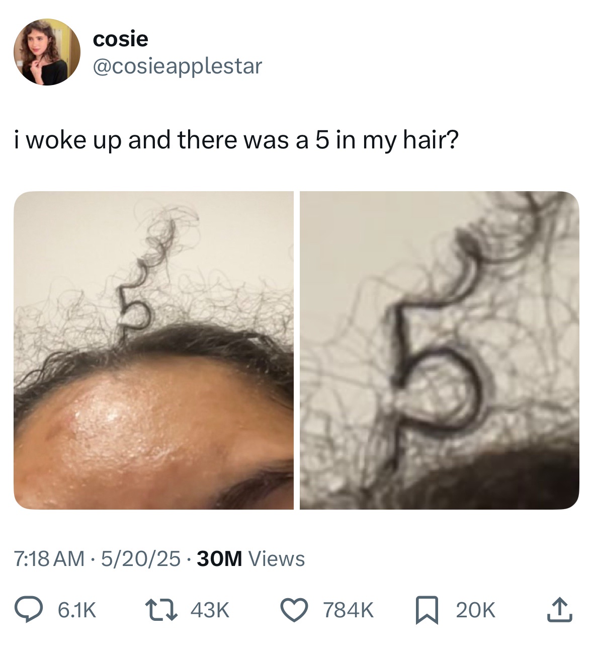 37 Funny and Fresh Tweets to Take to Church 