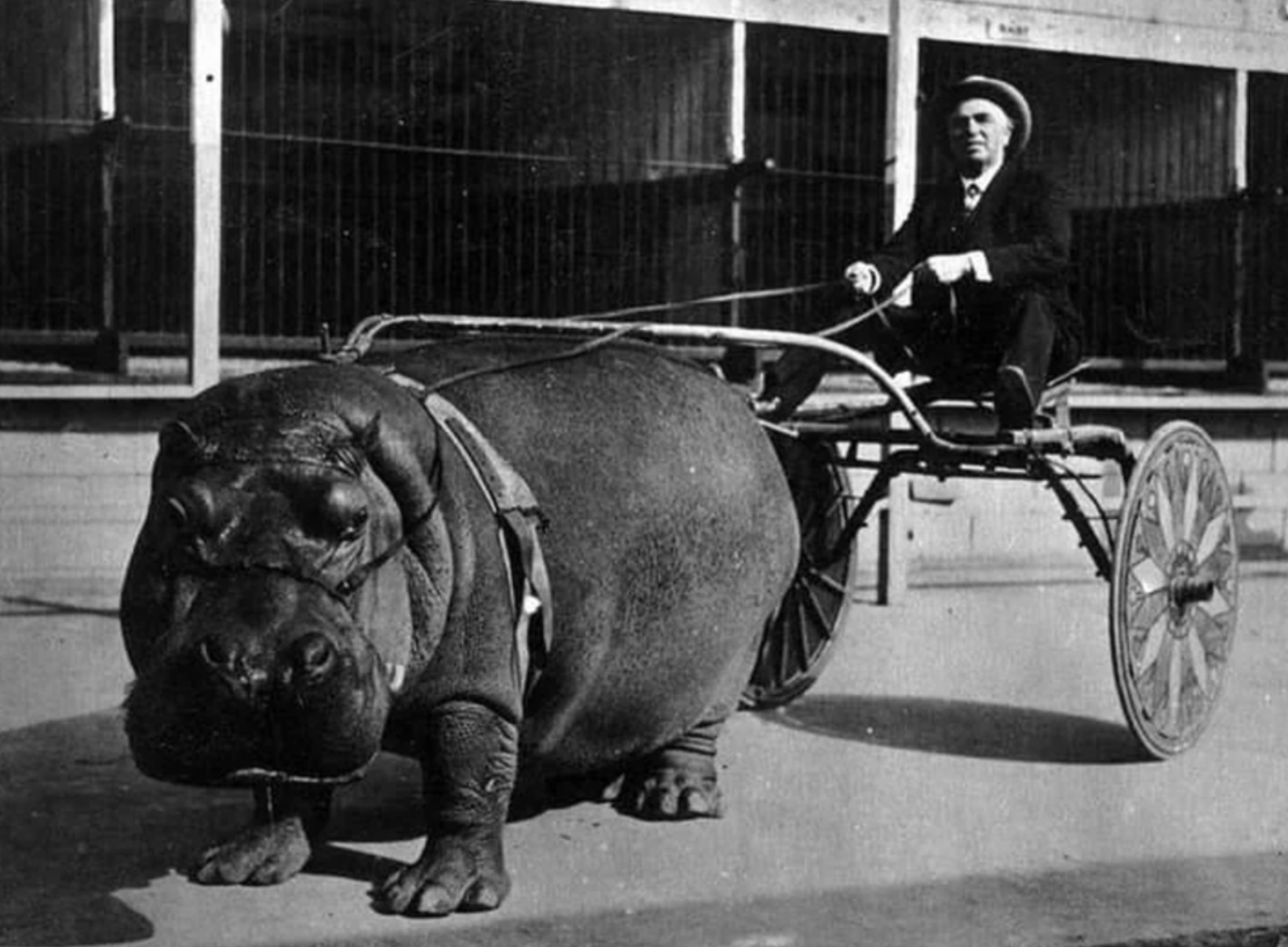 22 Photos Of Weirdness During The Roaring Twenties