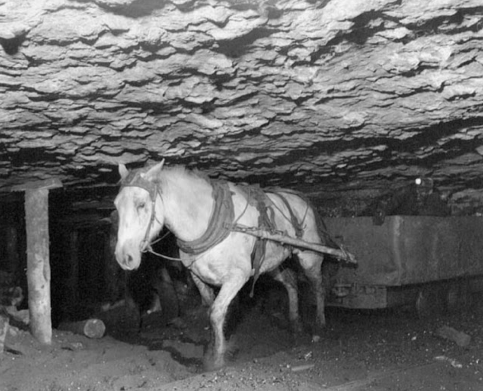 22 Photos Of Weirdness During The Roaring Twenties