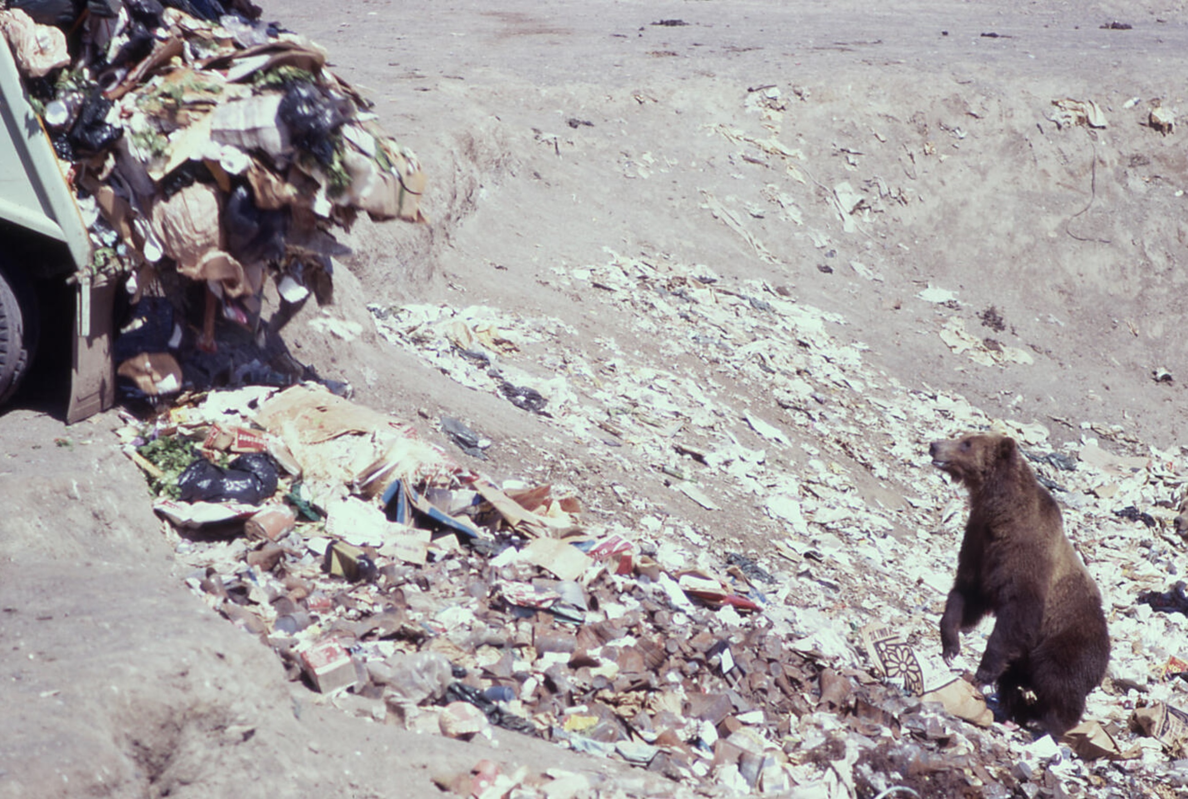 26 Photos Remembering When Everybody Littered