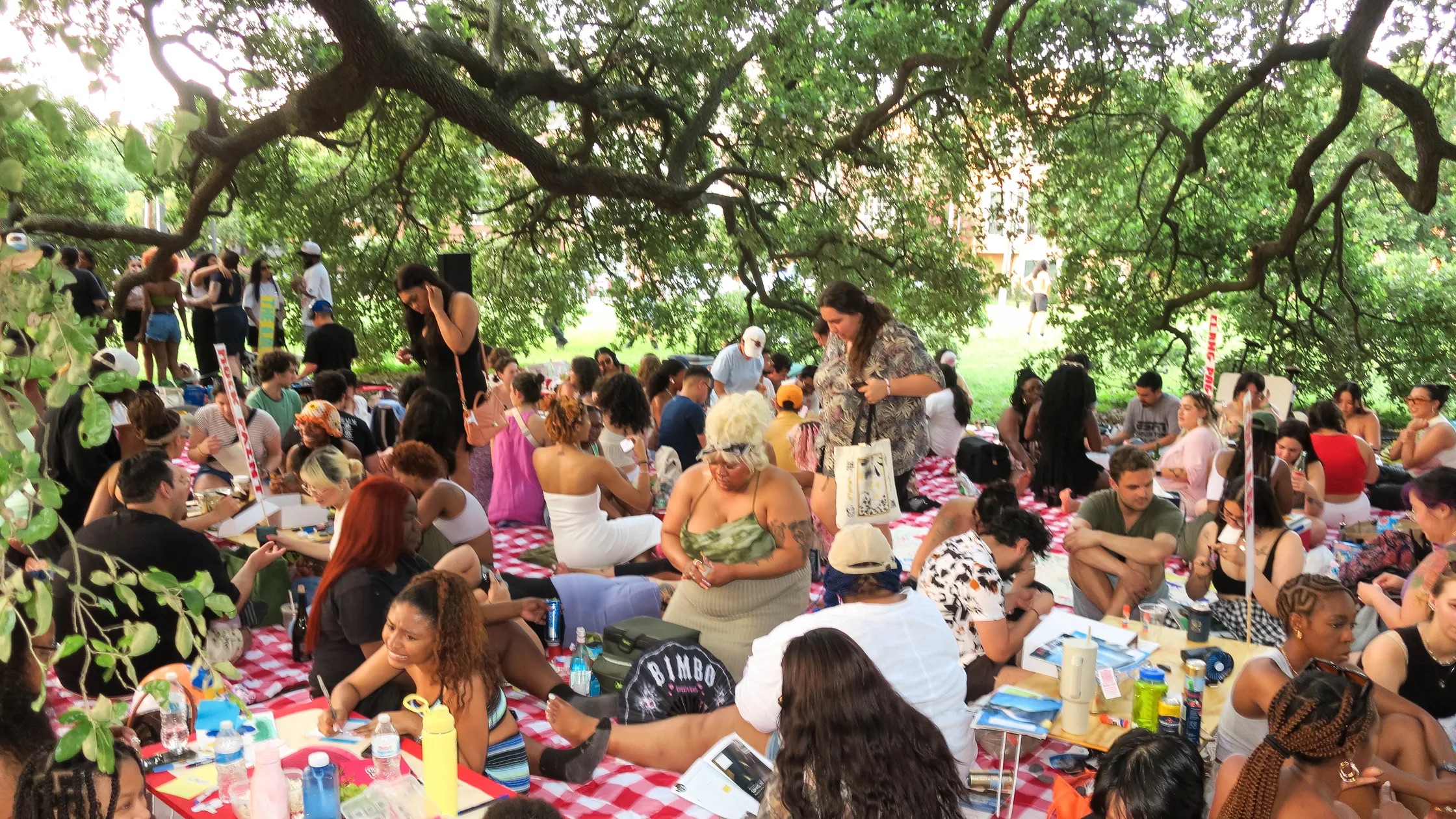 A “Super Picnic” in Houston 