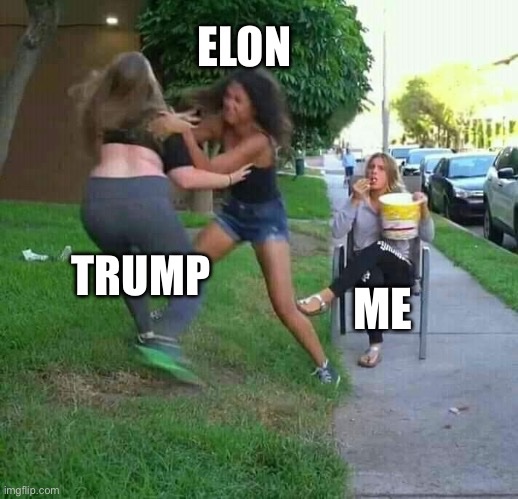 All the Best Reactions to the Trump–Elon Fallout