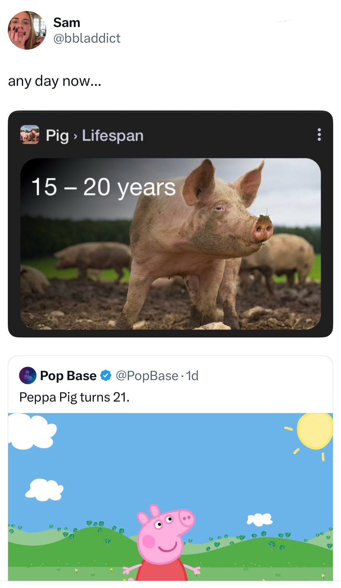 22 Saturday Morning Randoms to Laugh At 