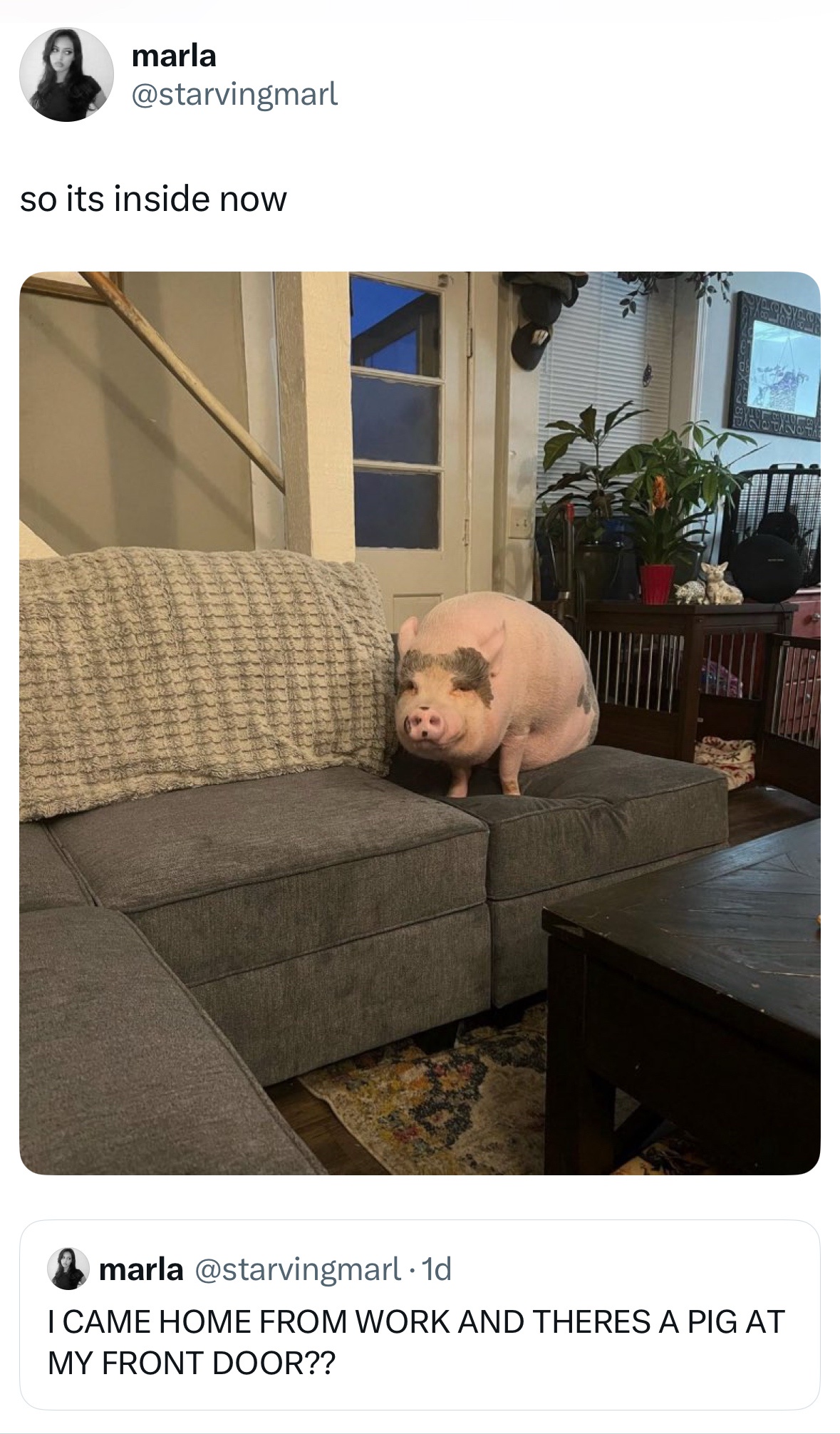 22 Saturday Morning Randoms to Laugh At 