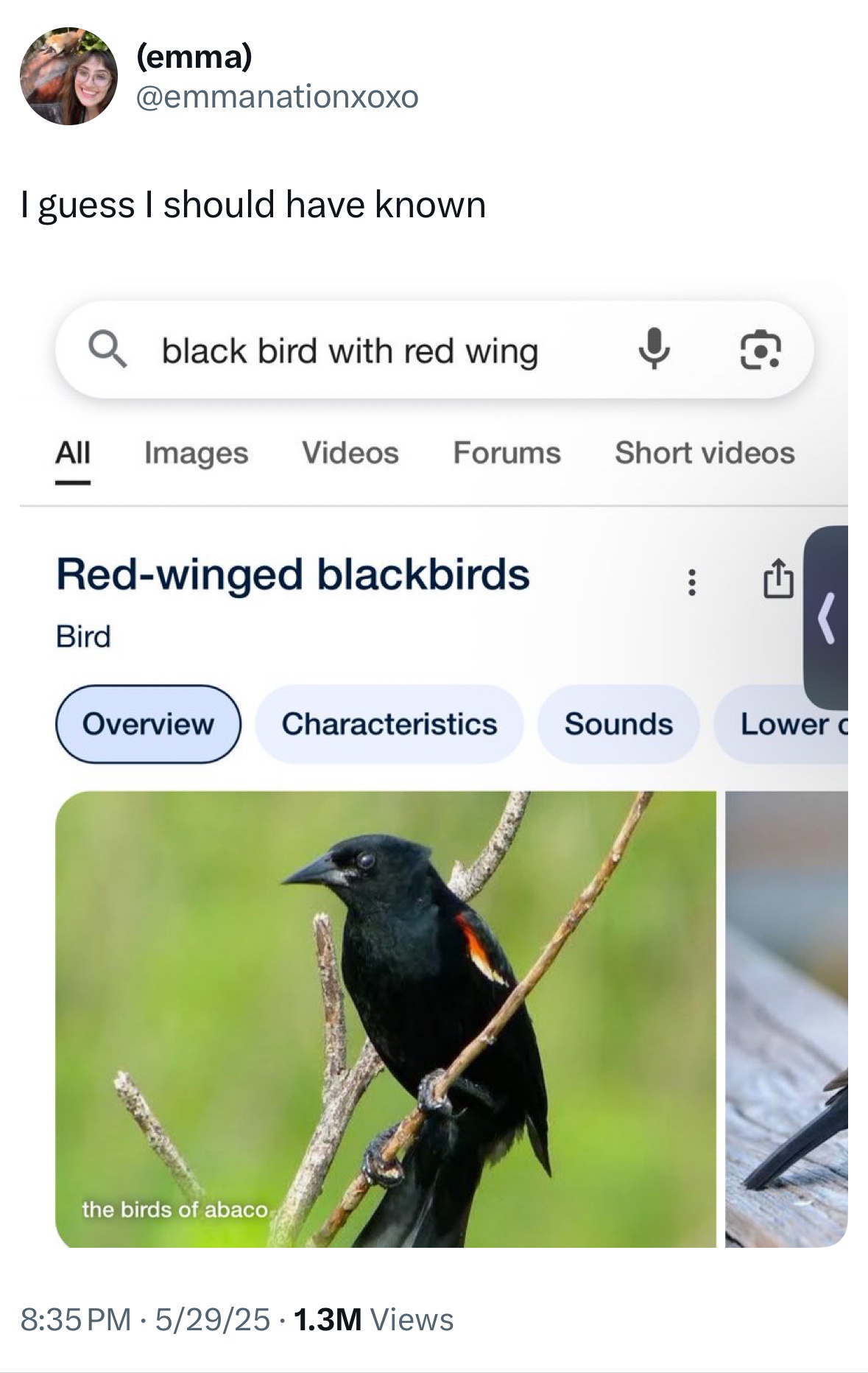 21 Fresh Tweets and Pics for a Lazy Sunday 