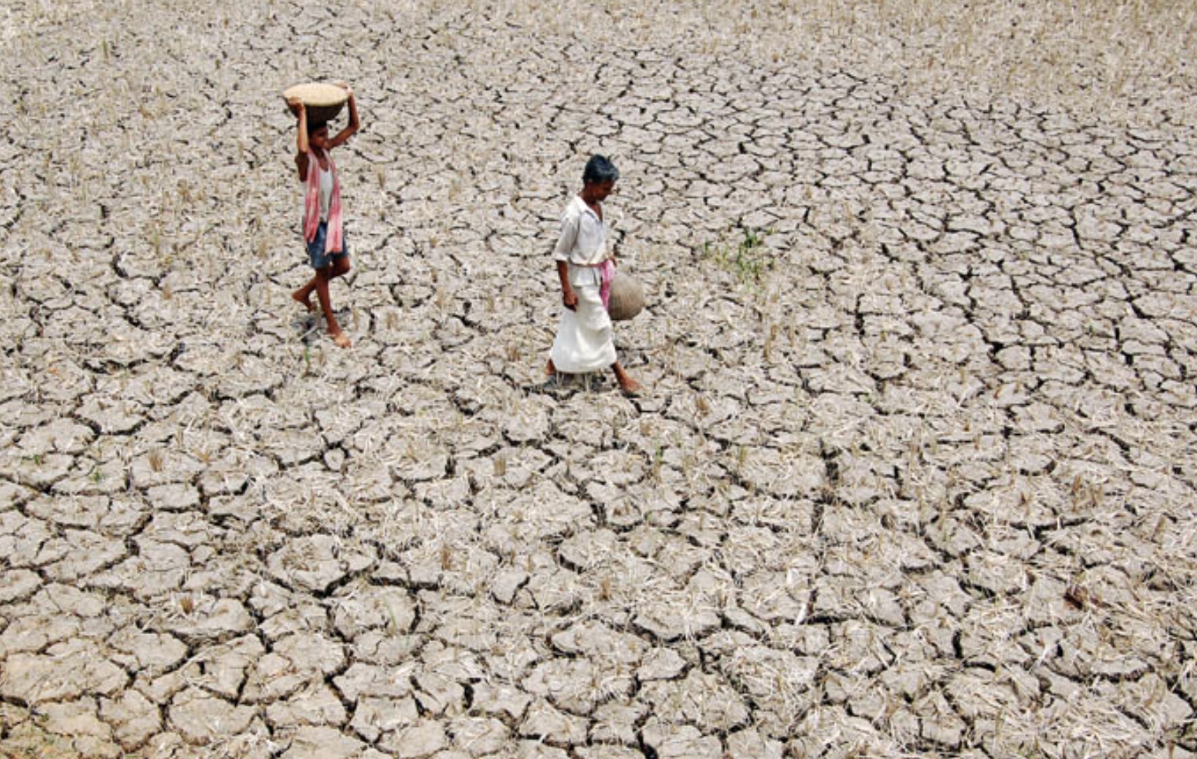 India’s 2009 drought
