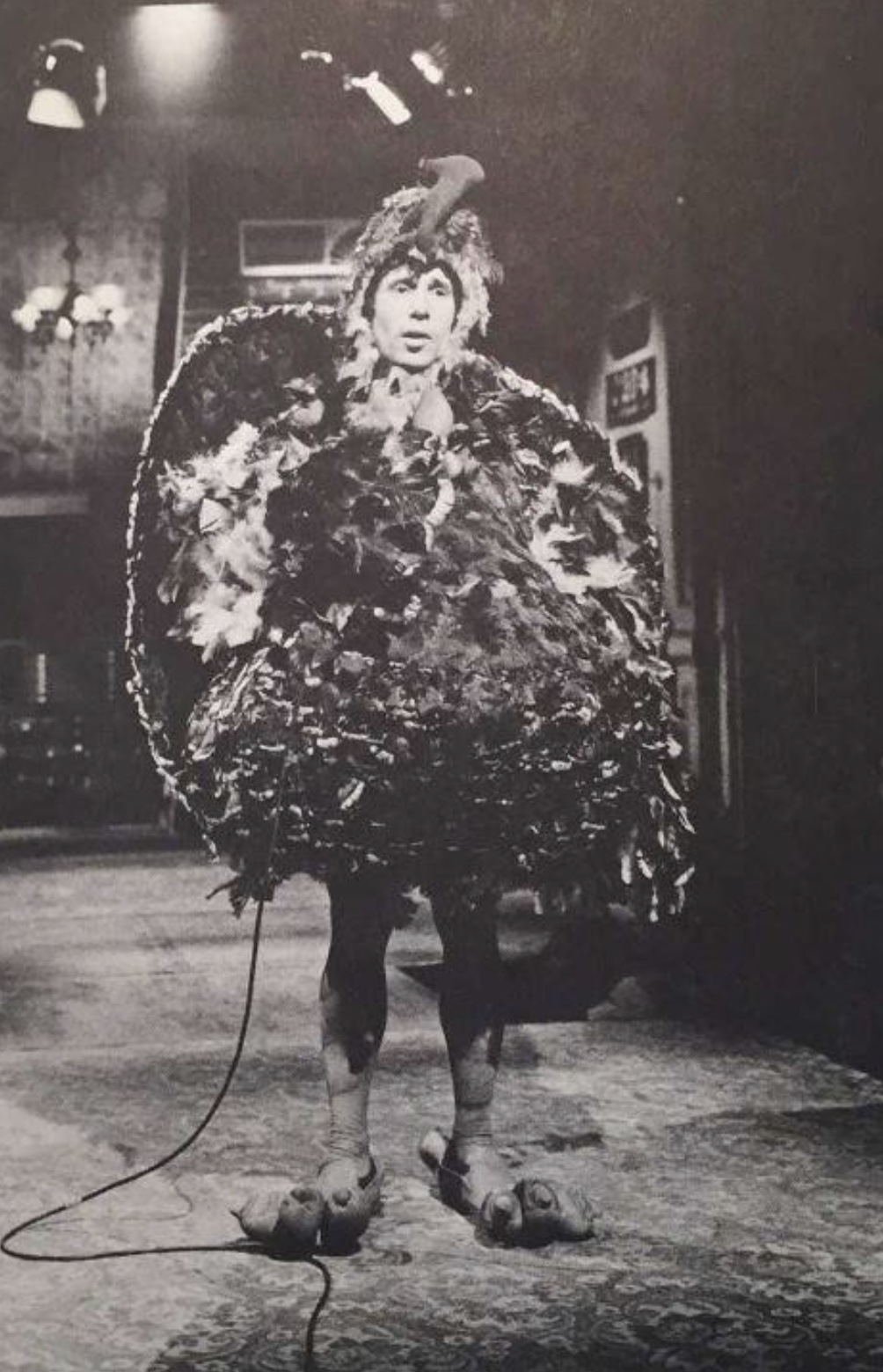 Here's To Simon & Garfunkel 70's Pics, Mrs. Robinson