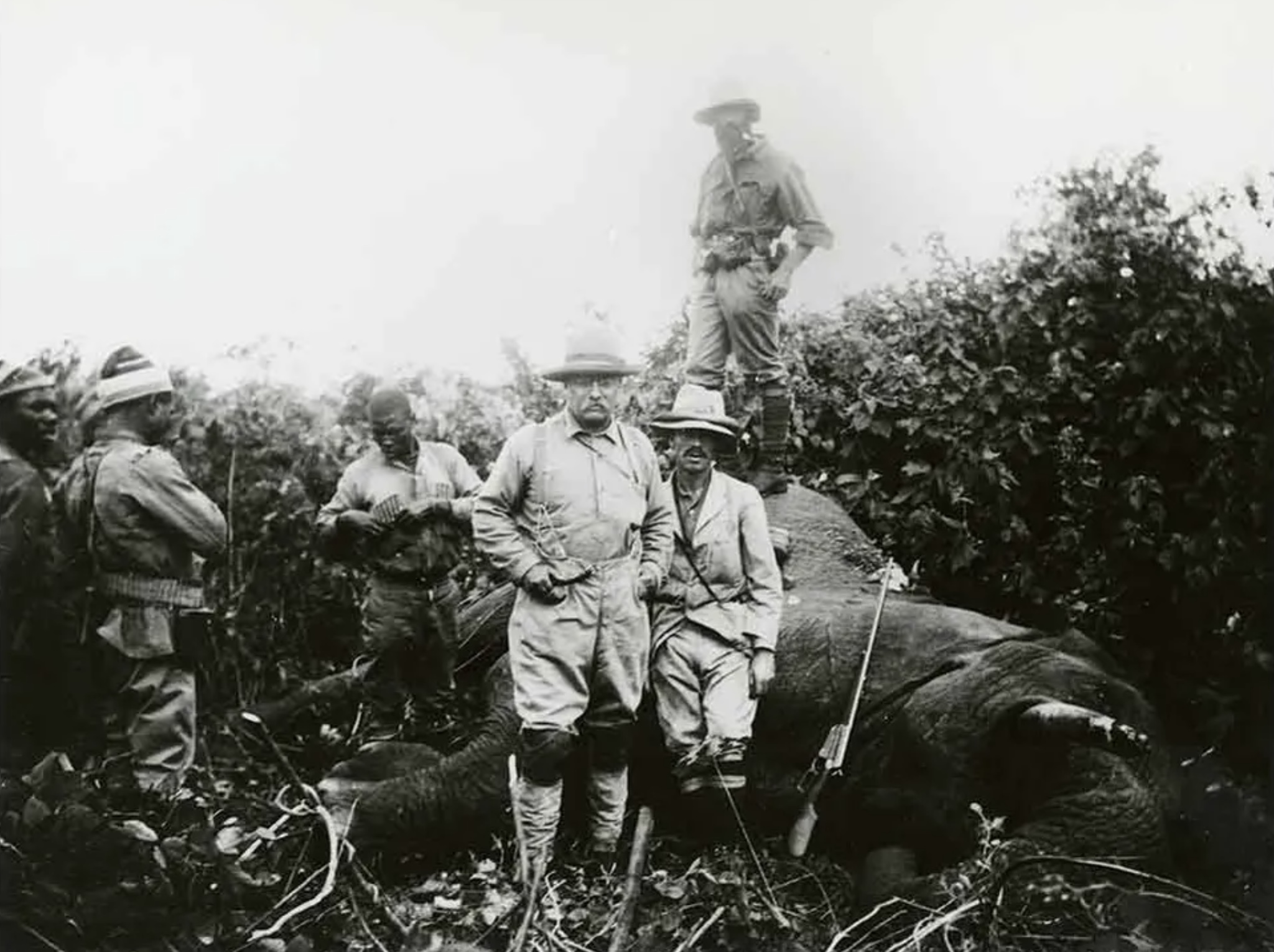 24 Photos Remembering Teddy Roosevelt’s Hunting Trips
