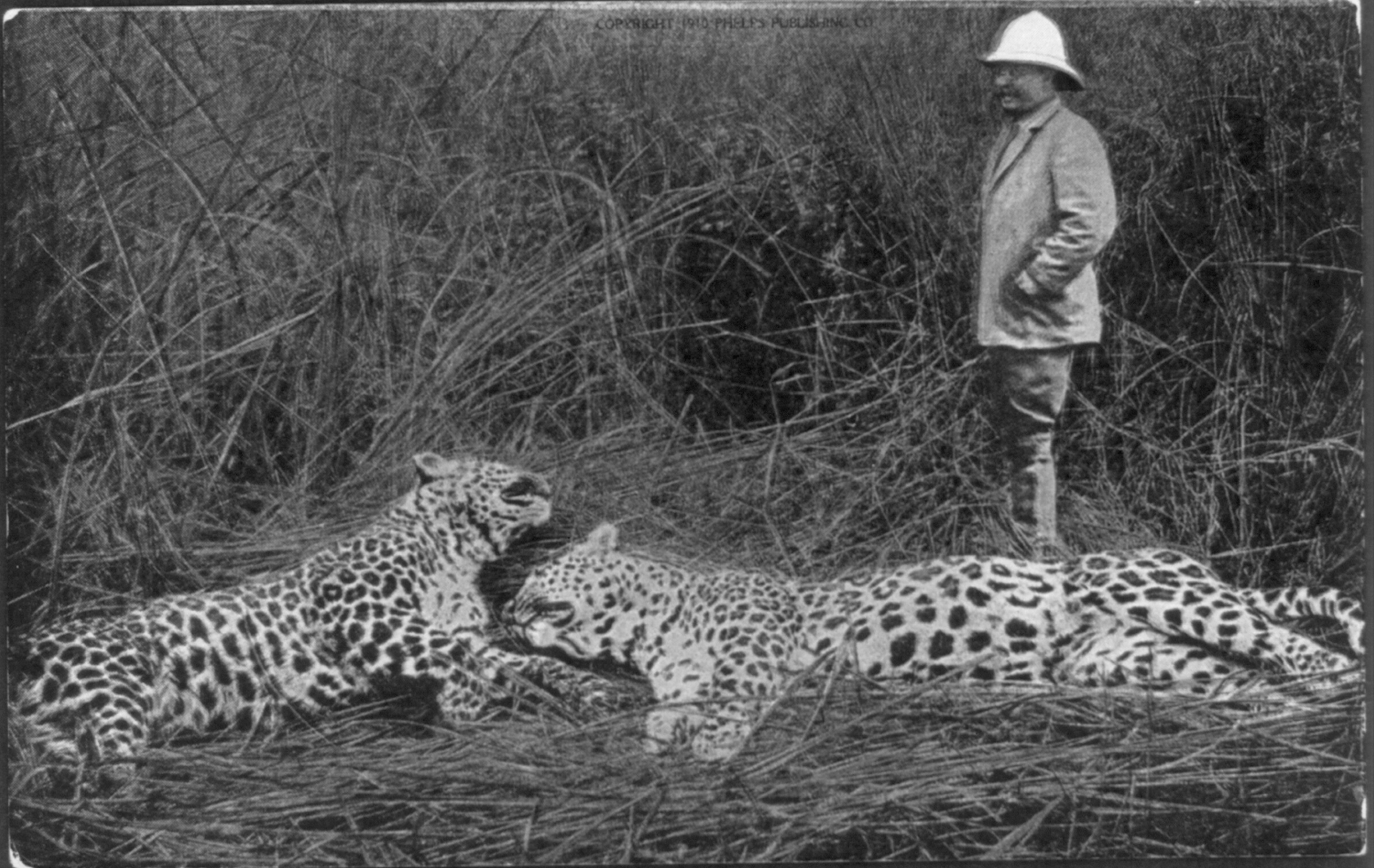 24 Photos Remembering Teddy Roosevelt’s Hunting Trips