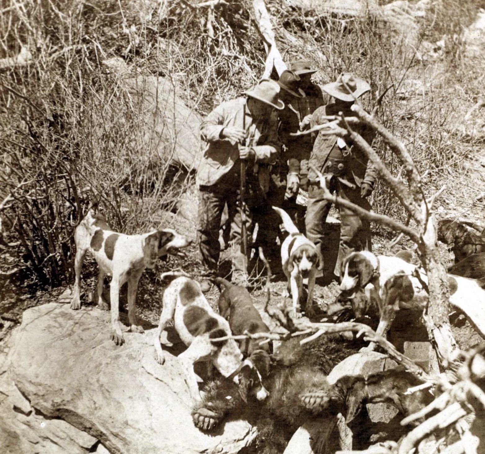 24 Photos Remembering Teddy Roosevelt’s Hunting Trips