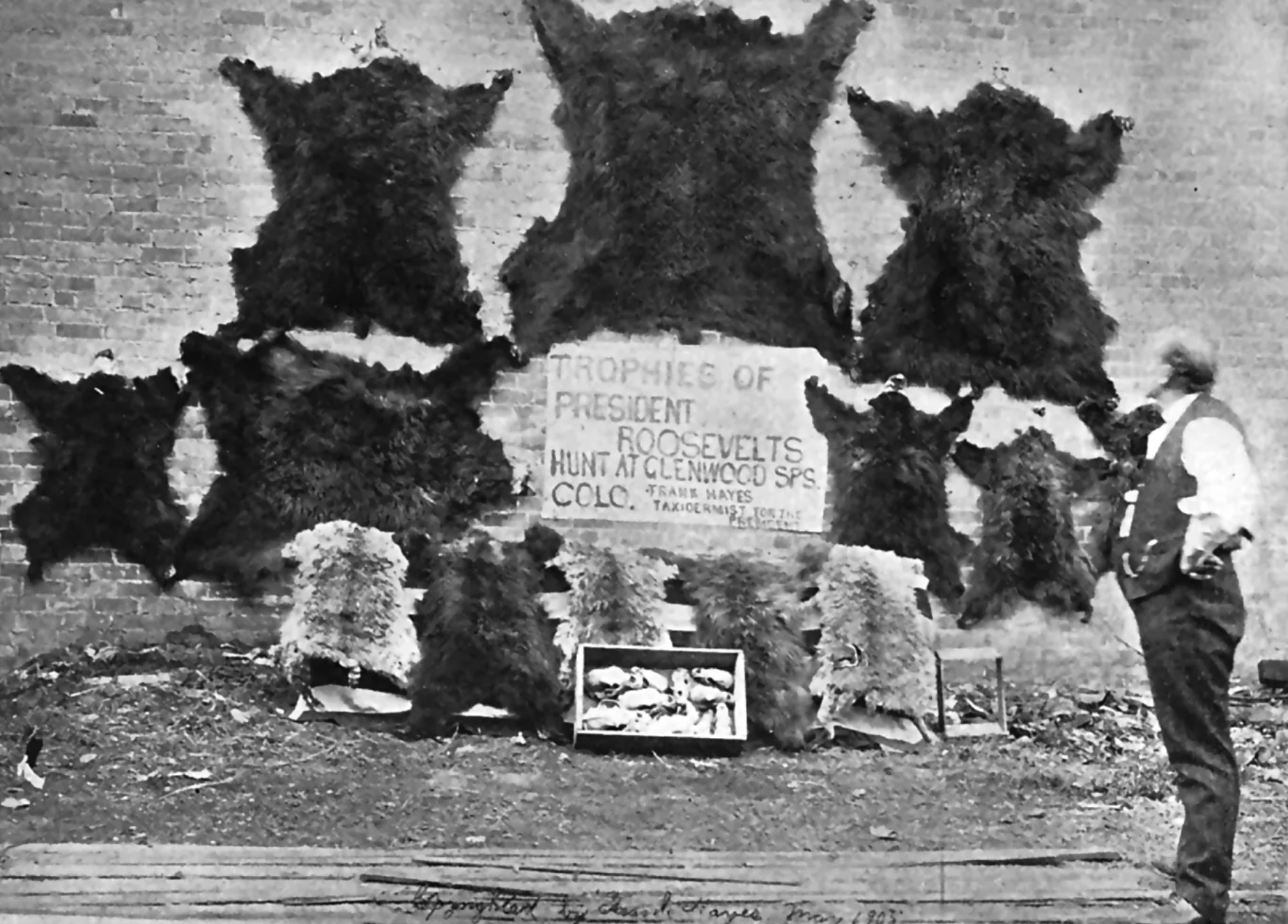 24 Photos Remembering Teddy Roosevelt’s Hunting Trips