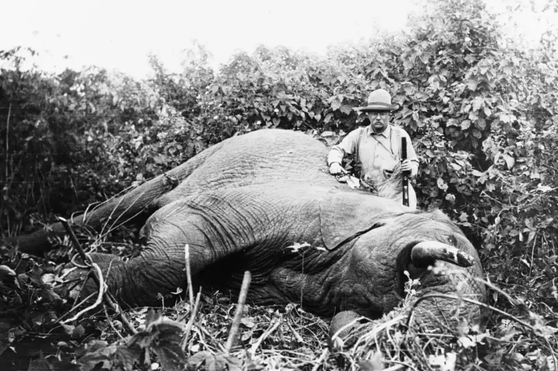 24 Photos Remembering Teddy Roosevelt’s Hunting Trips