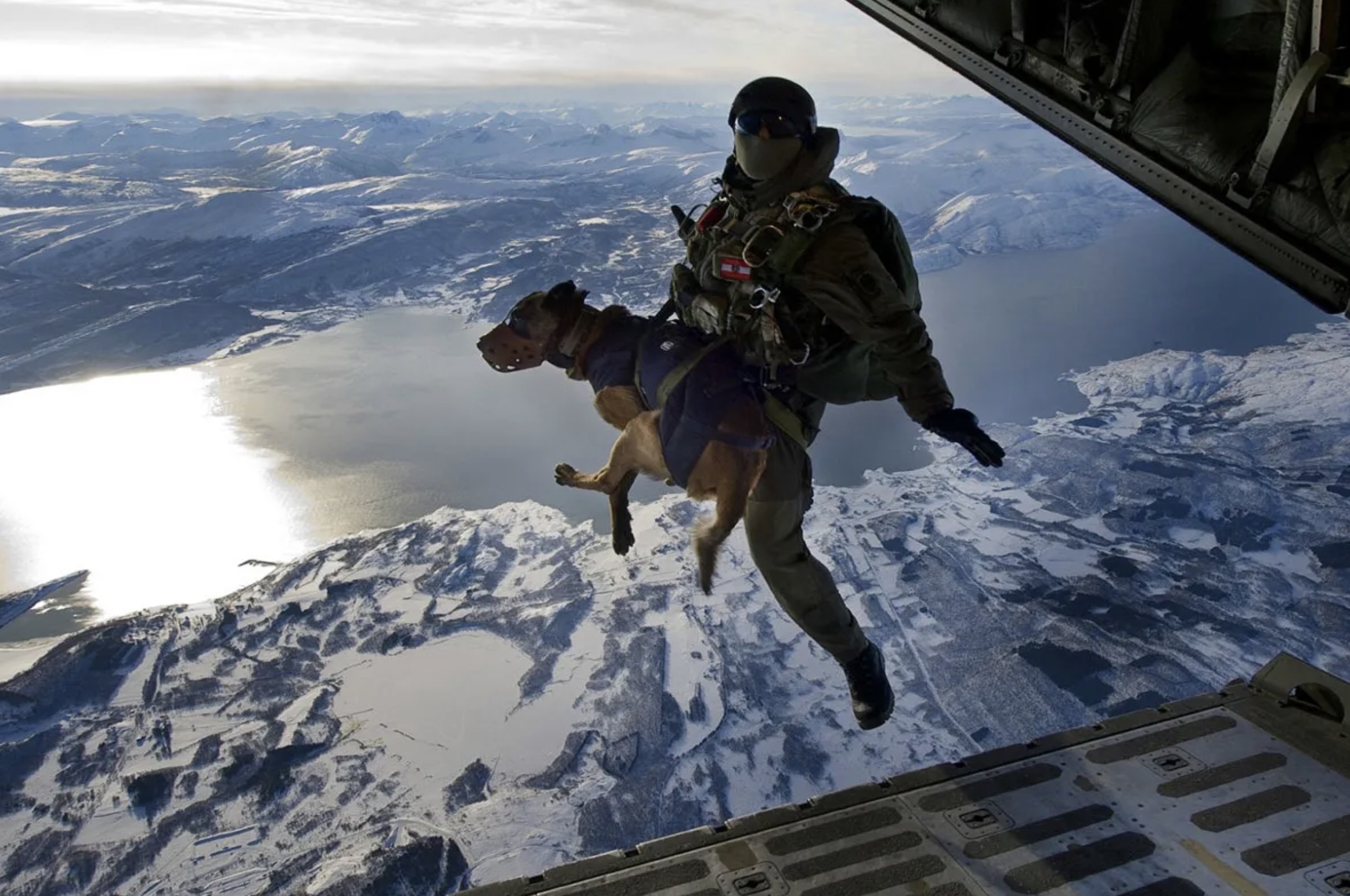 SEAL’s best friend