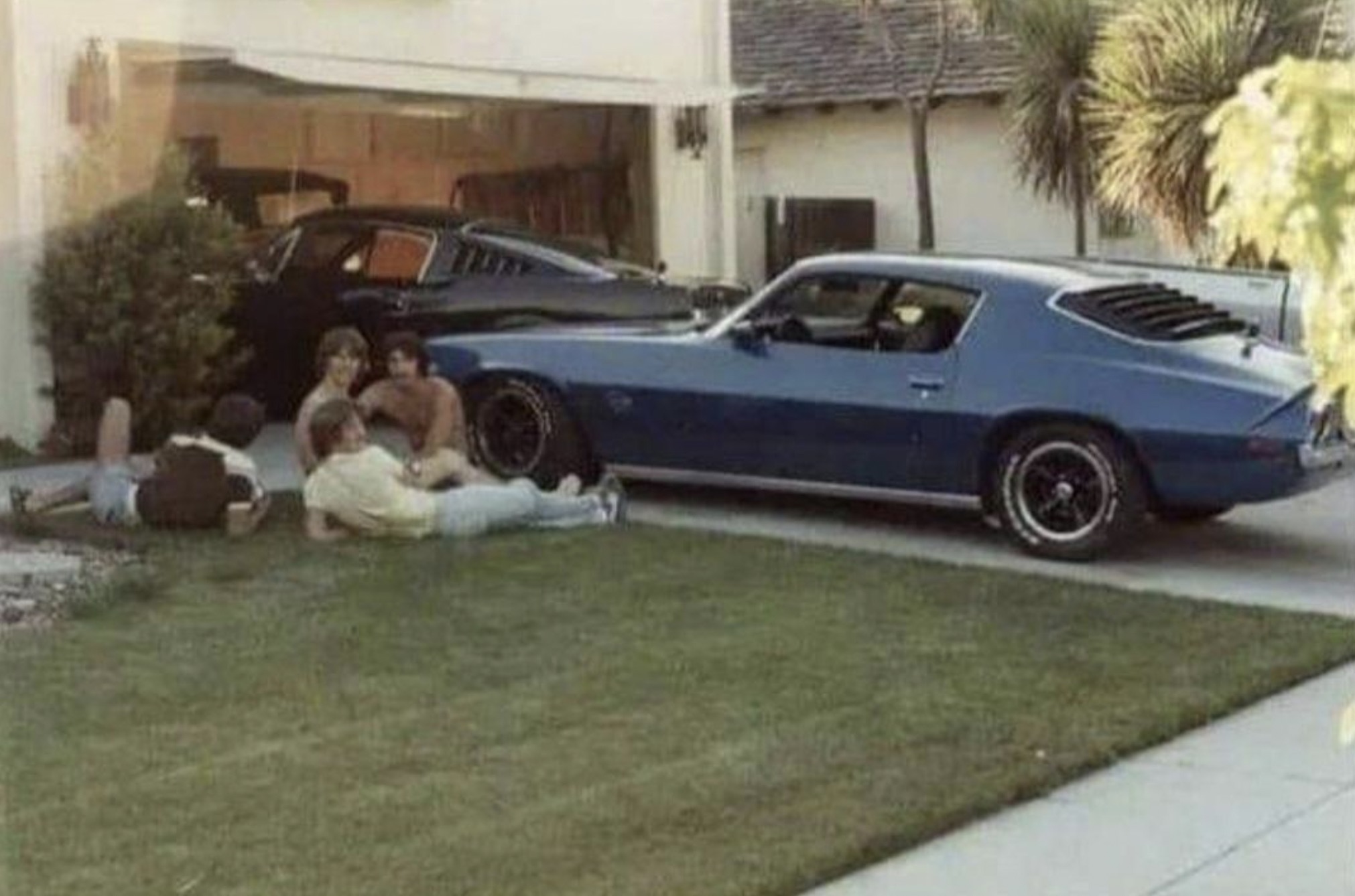 Chilling on the Lawn 