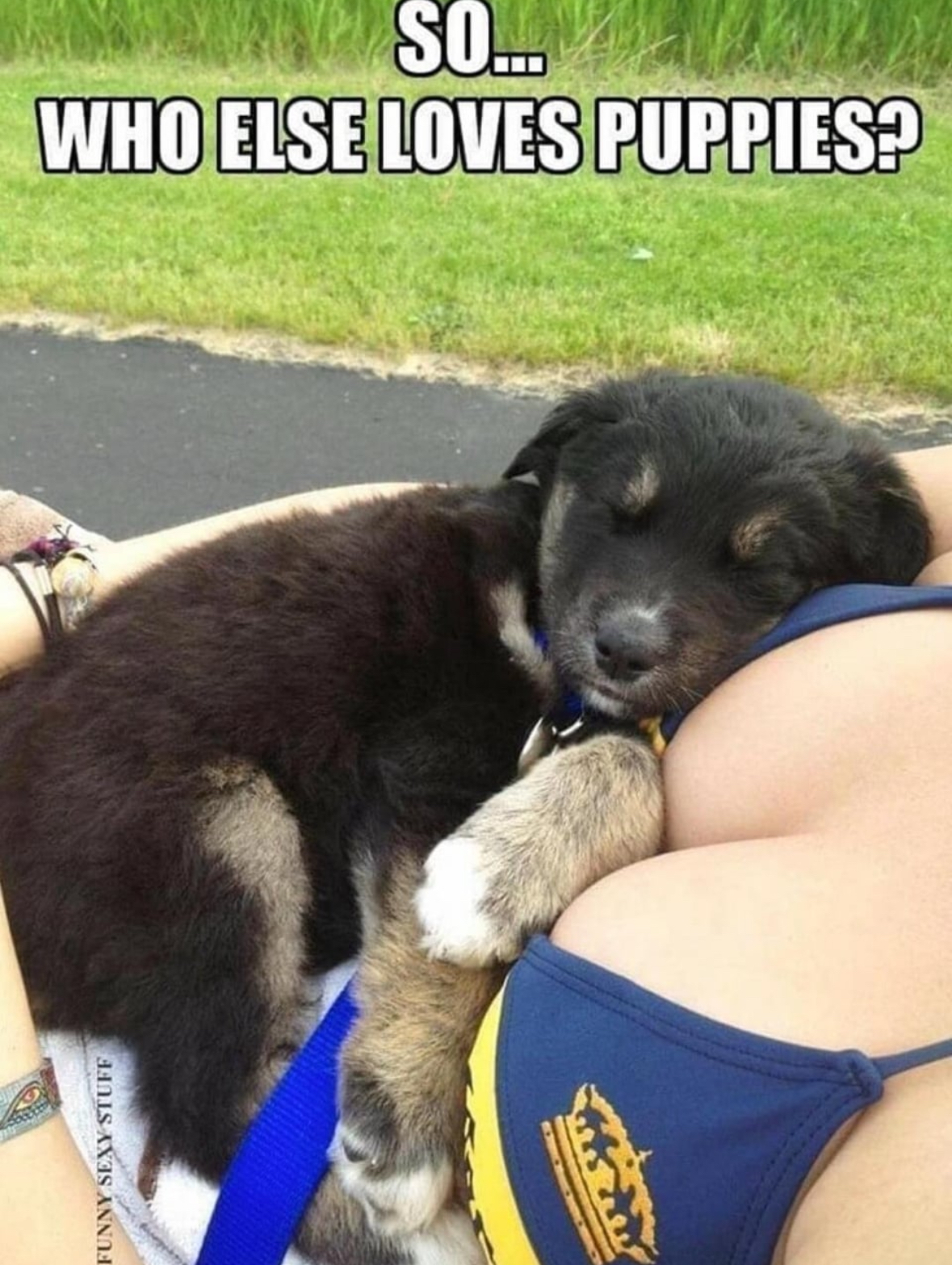 20 NSFW Tit-illating Memes to Spice Up Your Day