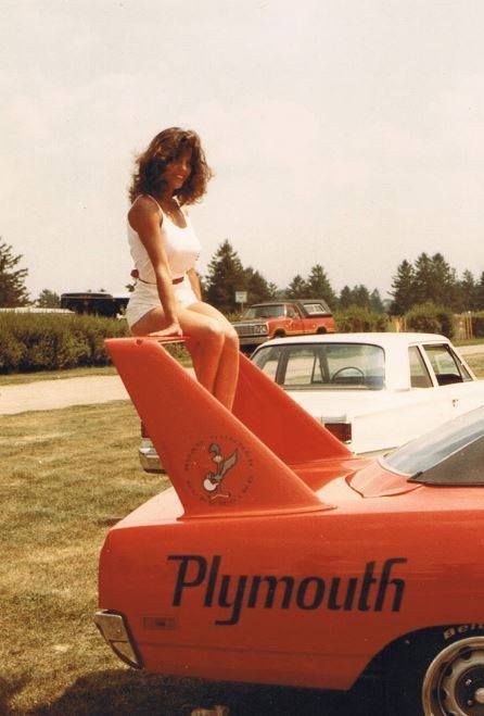 Superbird Sitting