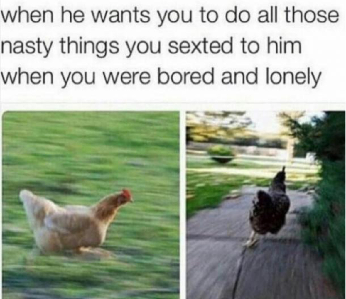 20 Random NSFW Memes That Are Basically Digital Foreplay
