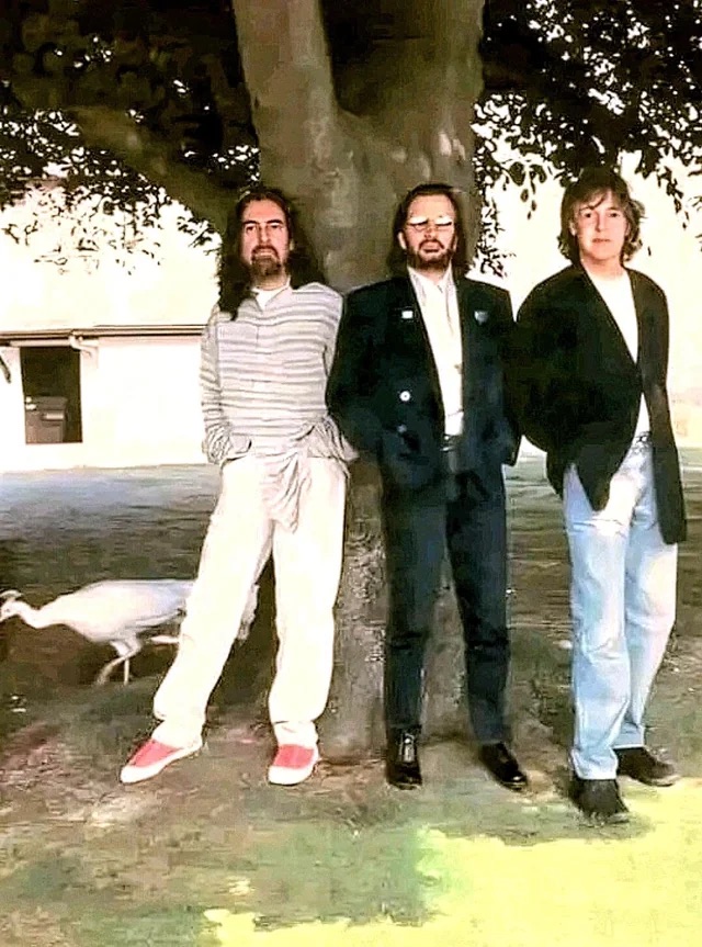 George, Ringo, and Paul 